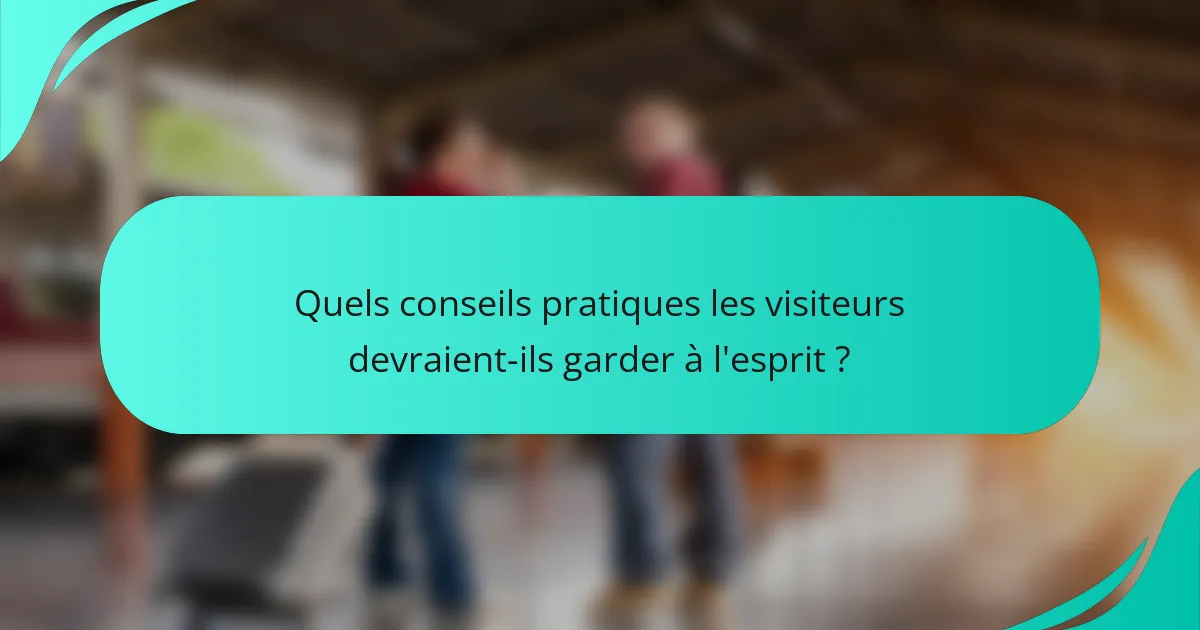 Quels conseils pratiques les visiteurs devraient-ils garder à l'esprit ?