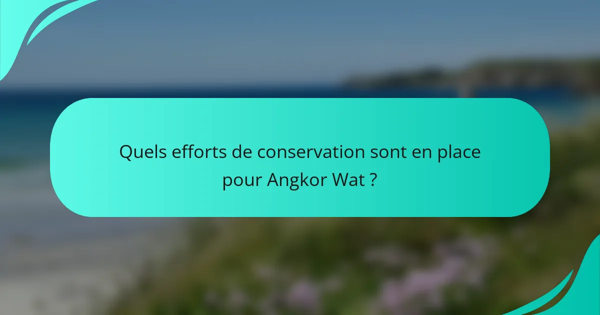 Quels efforts de conservation sont en place pour Angkor Wat ?