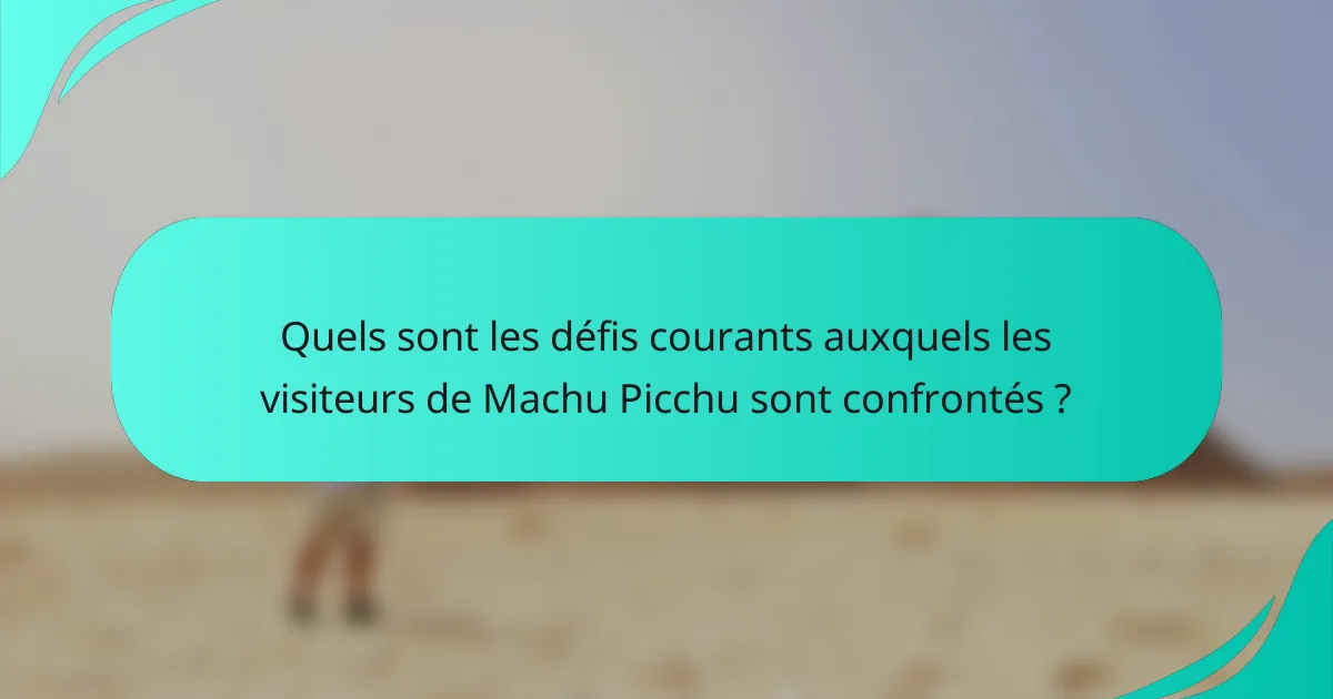 Quels sont les défis courants auxquels les visiteurs de Machu Picchu sont confrontés ?